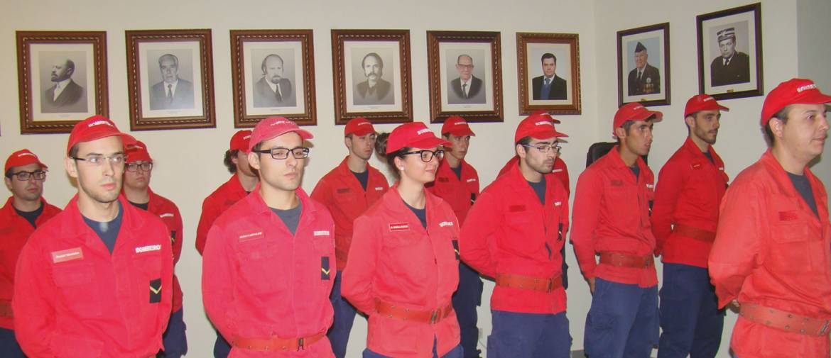bg3.jpg